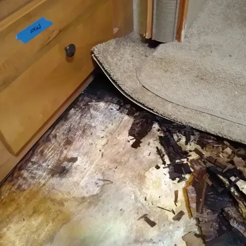 Wood Floor Water Damage in Inverness, CA